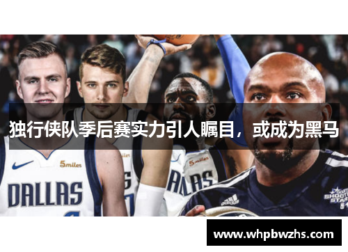 独行侠队季后赛实力引人瞩目，或成为黑马